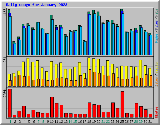 Daily usage for January 2023