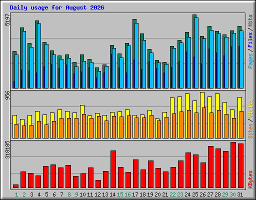 Daily usage for August 2026