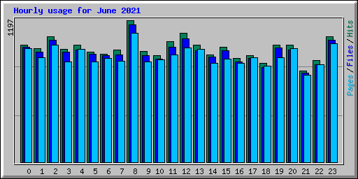 Hourly usage for June 2021
