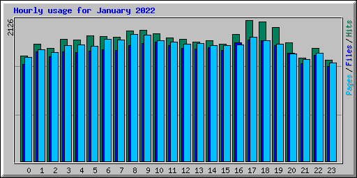 Hourly usage for January 2022