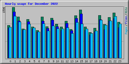 Hourly usage for December 2022