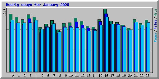 Hourly usage for January 2023