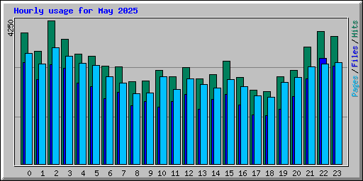 Hourly usage for May 2025