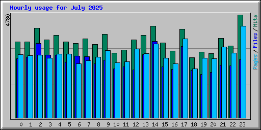 Hourly usage for July 2025