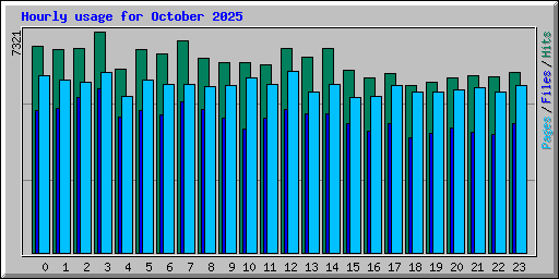 Hourly usage for October 2025