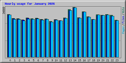Hourly usage for January 2026