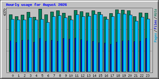 Hourly usage for August 2026
